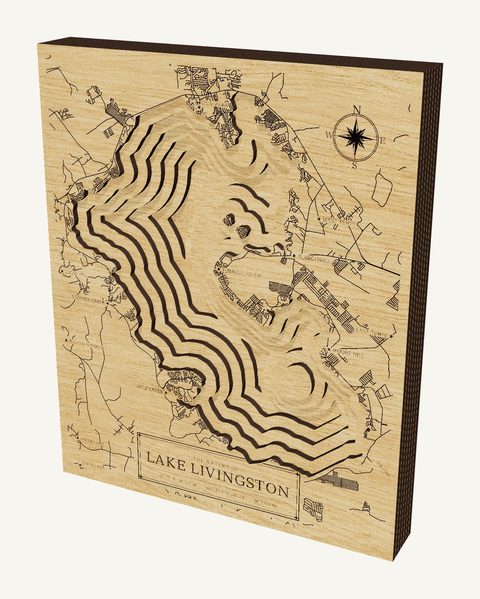 Lake Livingston wood map