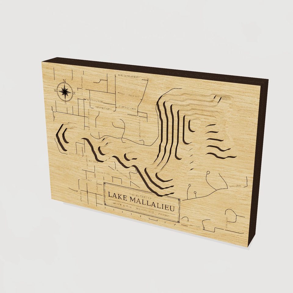 Lake Mallalieu 3D wood map, hero view