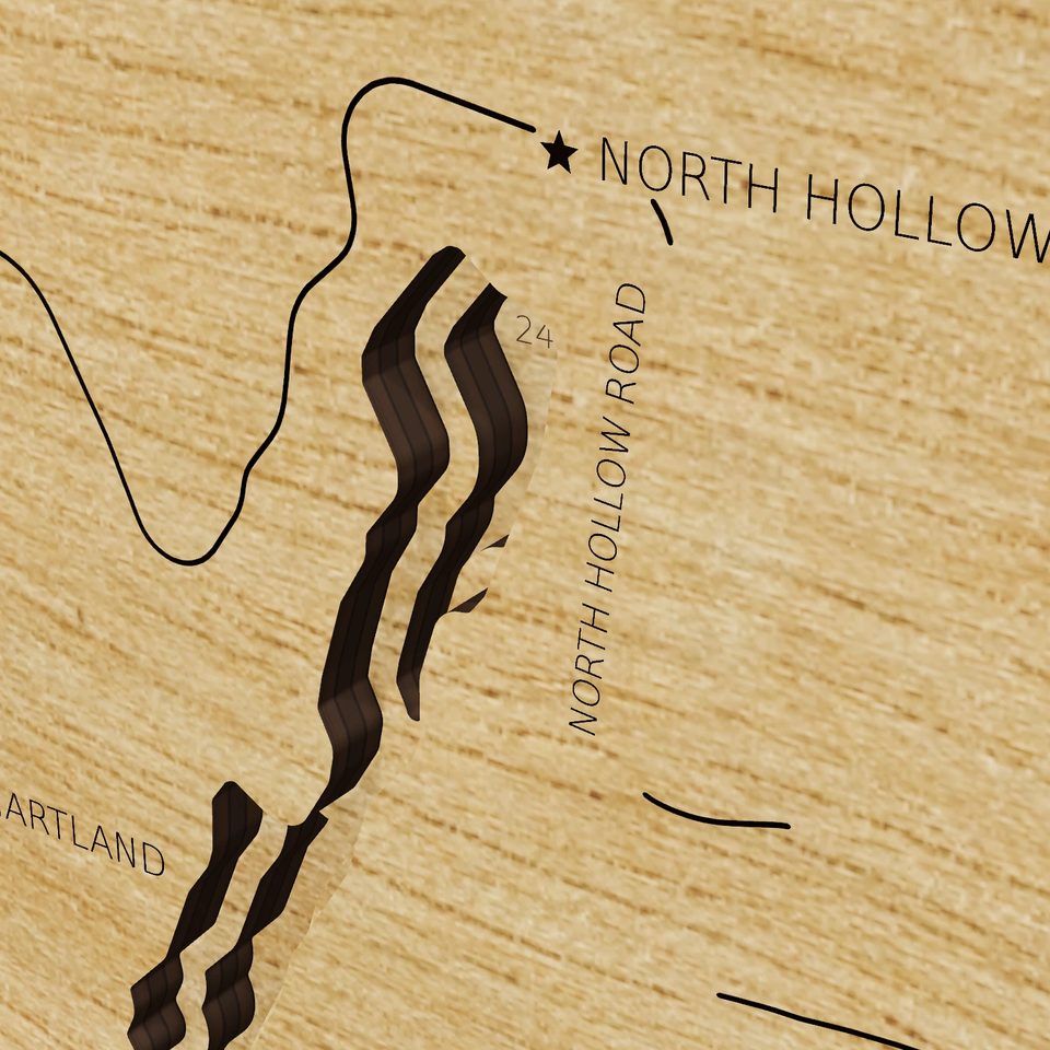 Lake McDonough 3D wood map, detail view