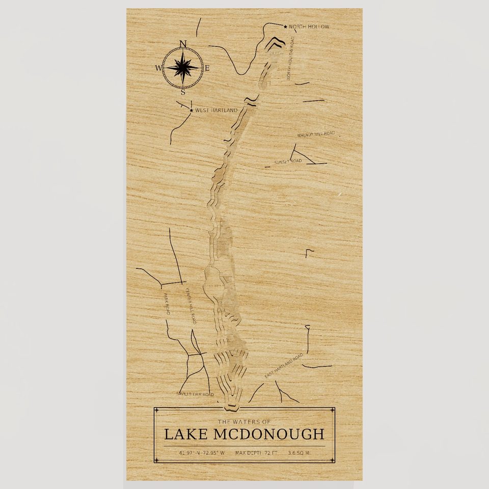 Lake McDonough 3D wood map, front view