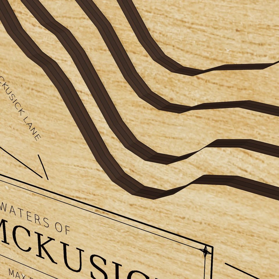 Lake McKusick 3D wood map, detail view