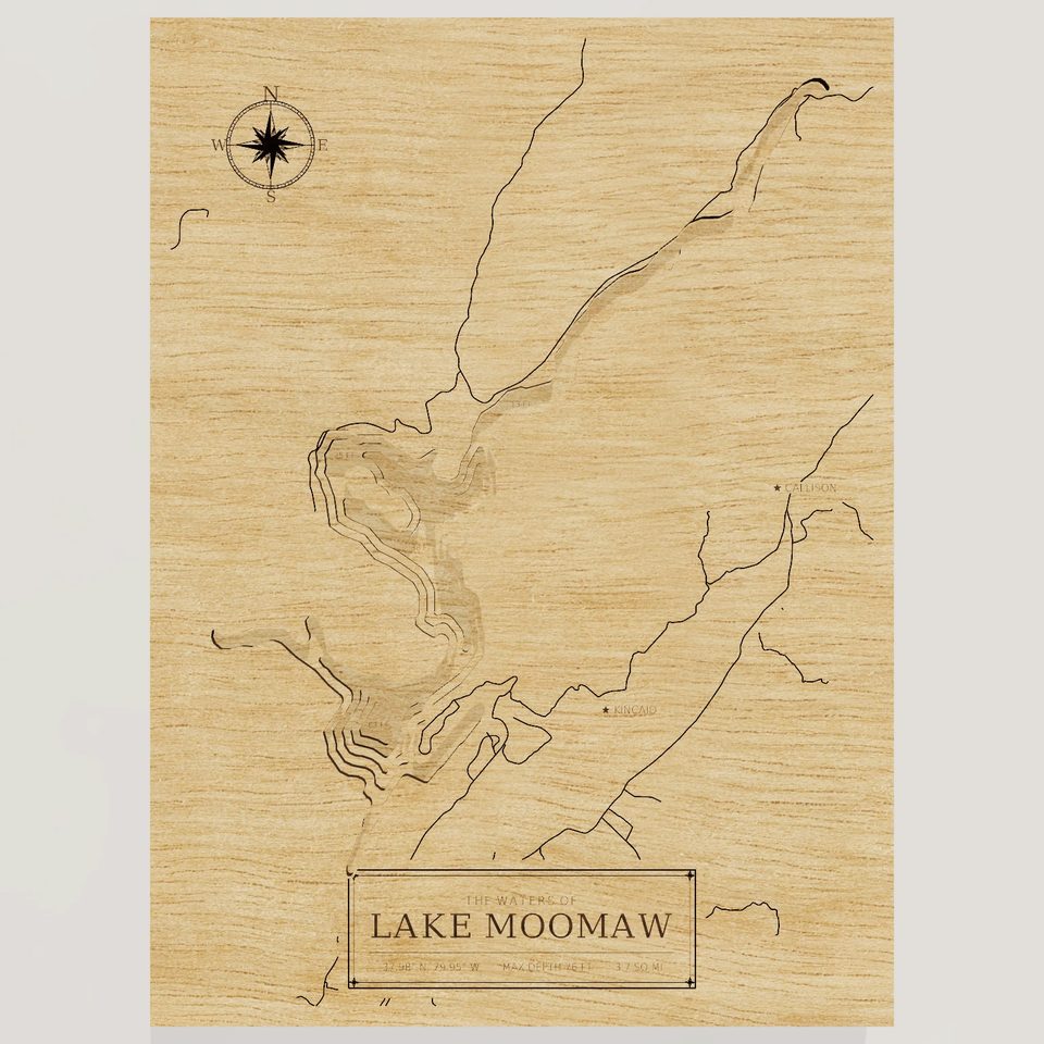 Lake Moomaw 3D wood map, front view