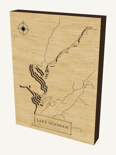 Lake Moomaw wood map