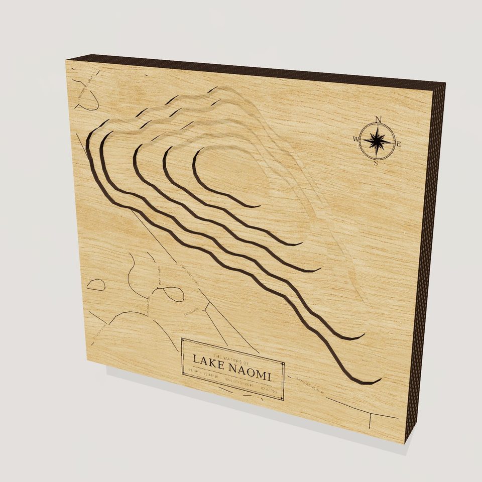 Lake Naomi 3D wood map, hero view