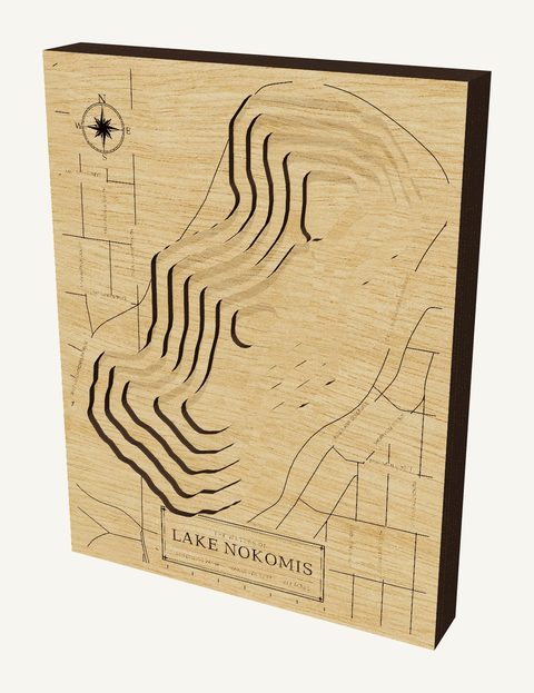 Lake Nokomis wood map