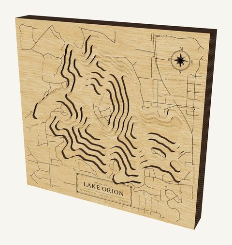 Lake Orion wood map