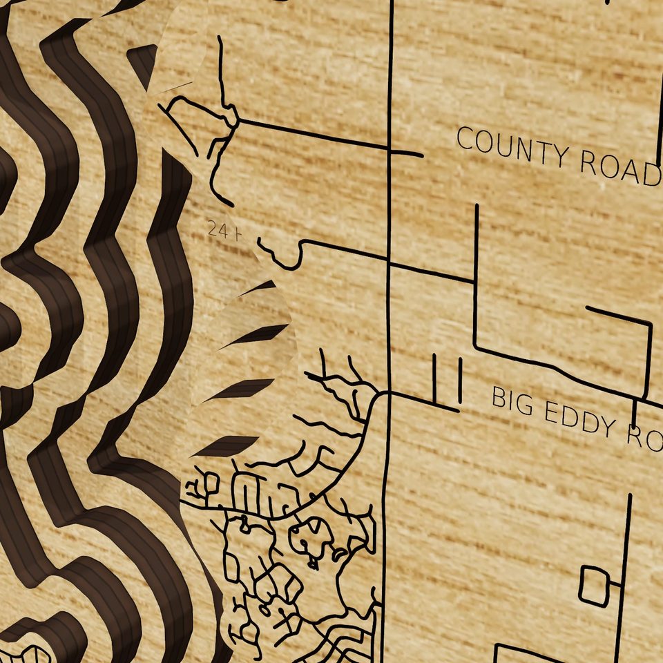 Lake Palestine 3D wood map, detail view