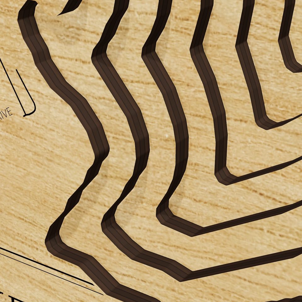 Lake Pat Cleburne 3D wood map, detail view