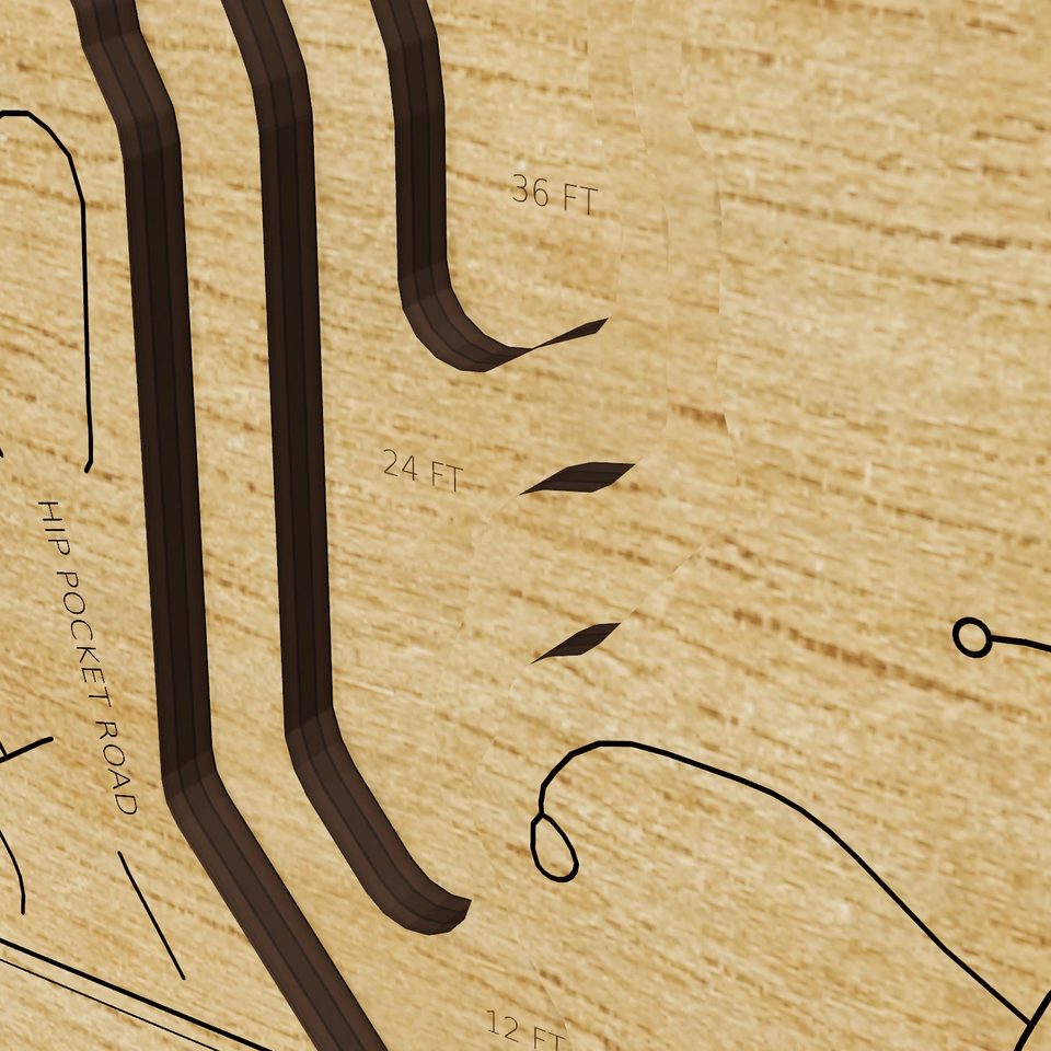 Lake Peachtree 3D wood map, detail view