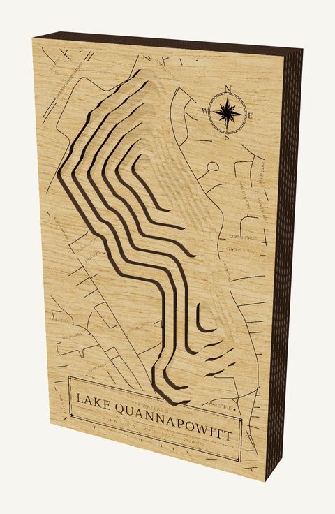 Lake Quannapowitt wood map