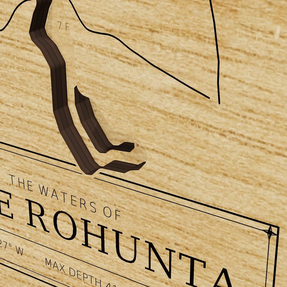 Lake Rohunta 3D wood map, detail view