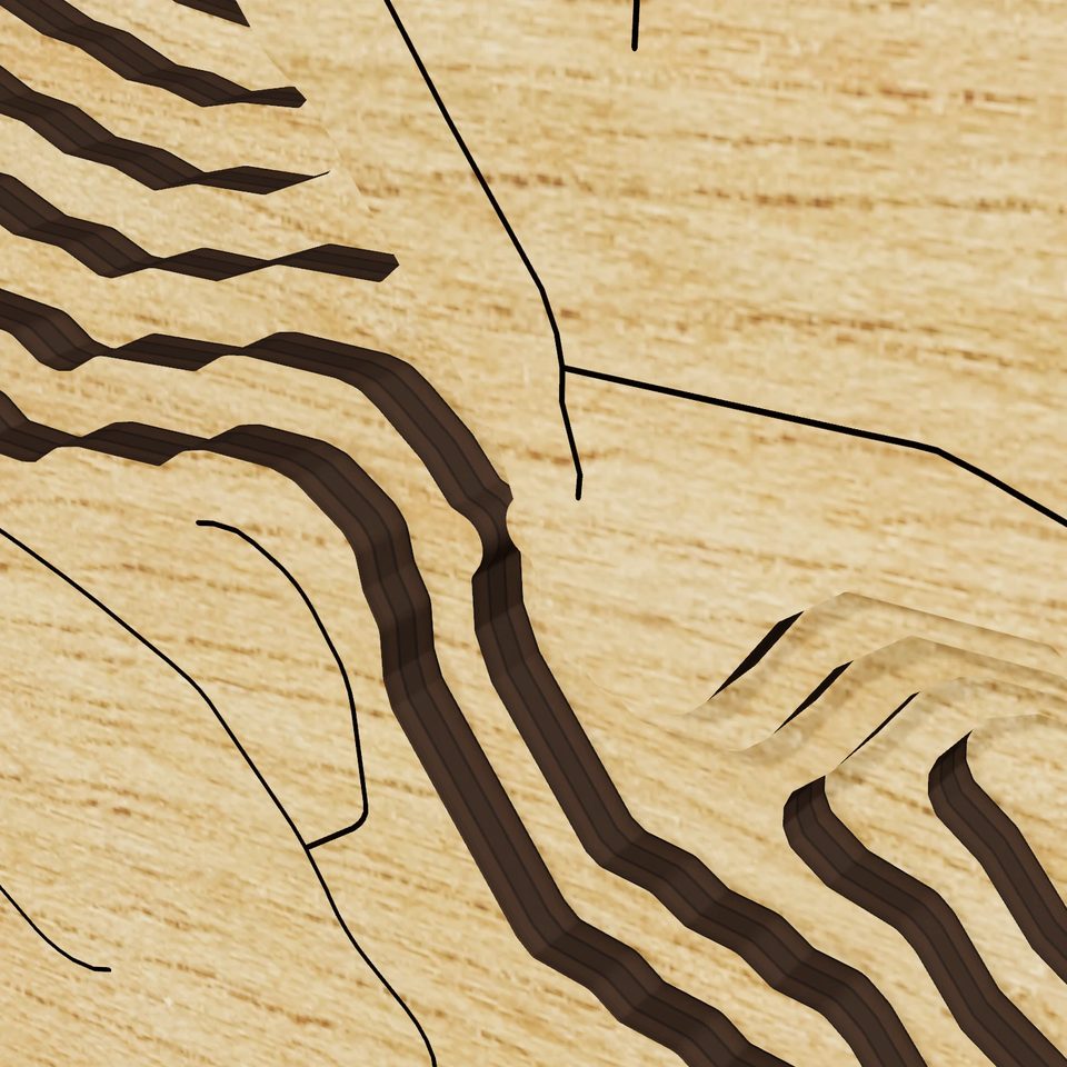 Lake Sarah 3D wood map, detail view