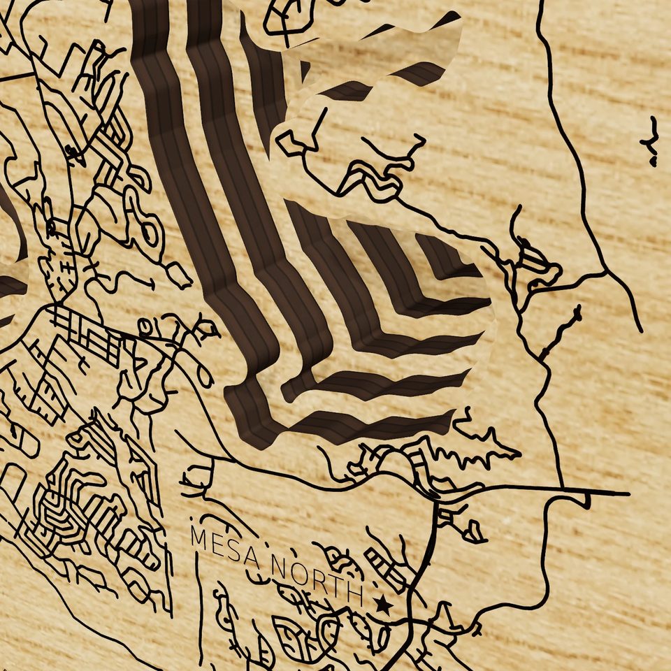 Lake Travis 3D wood map, detail view