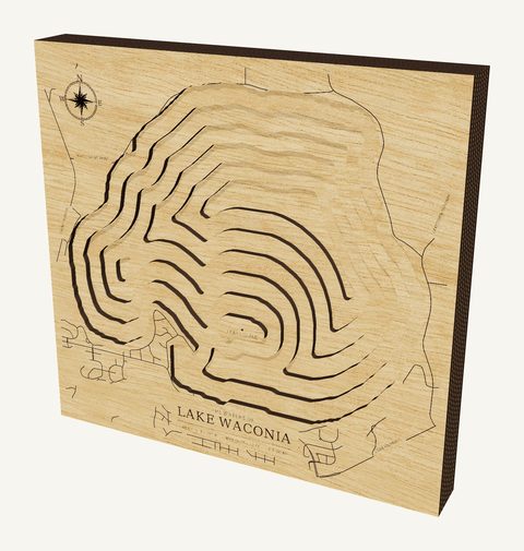 Lake Waconia wood map