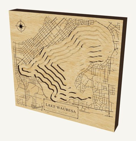 Lake Waubesa wood map
