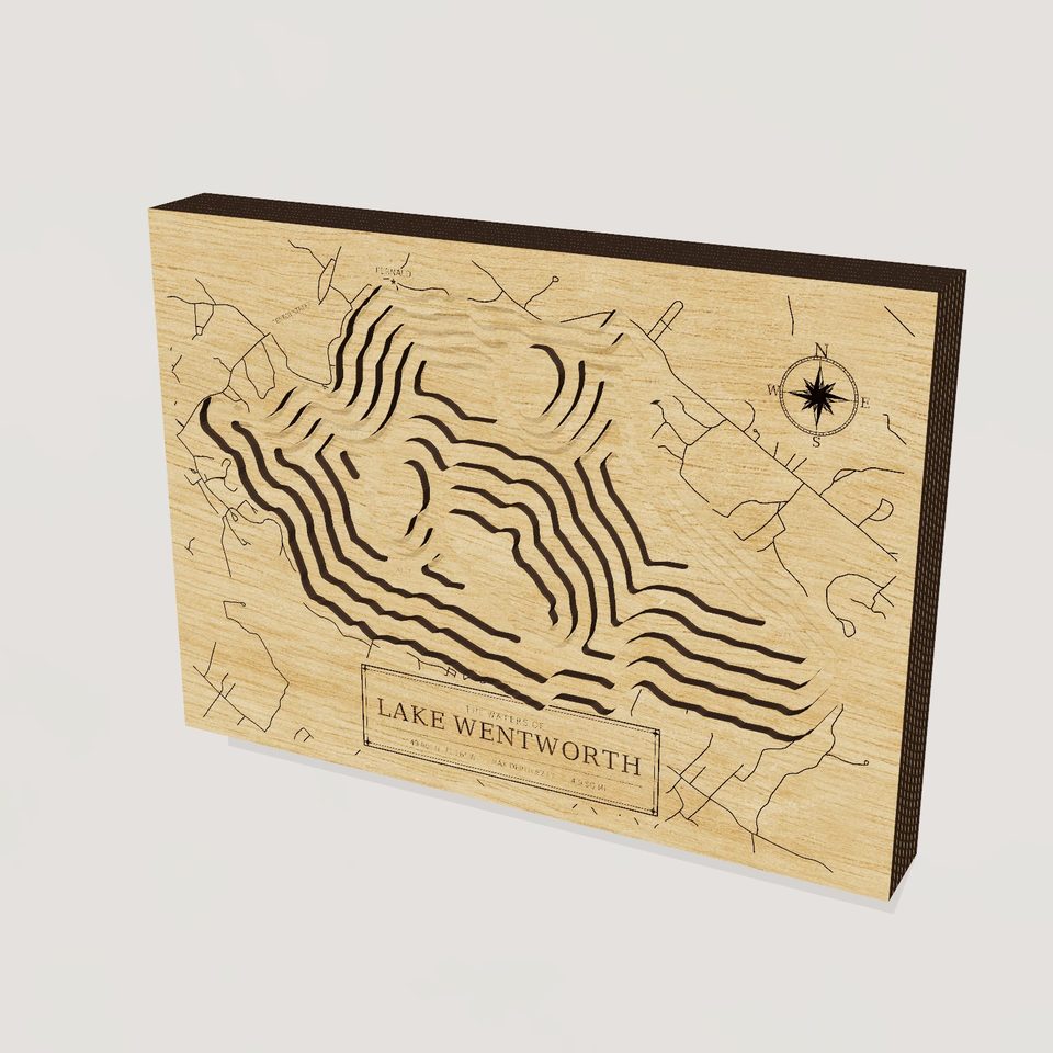 Lake Wentworth 3D wood map, hero view
