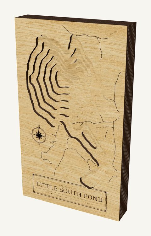 Little South Pond wood map