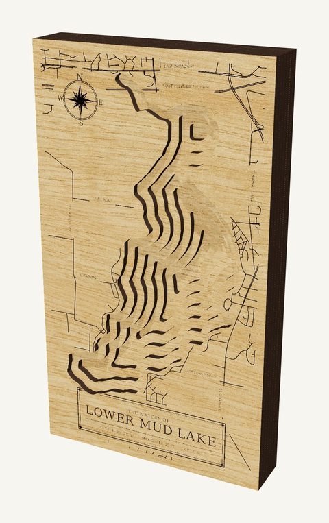 Lower Mud Lake wood map