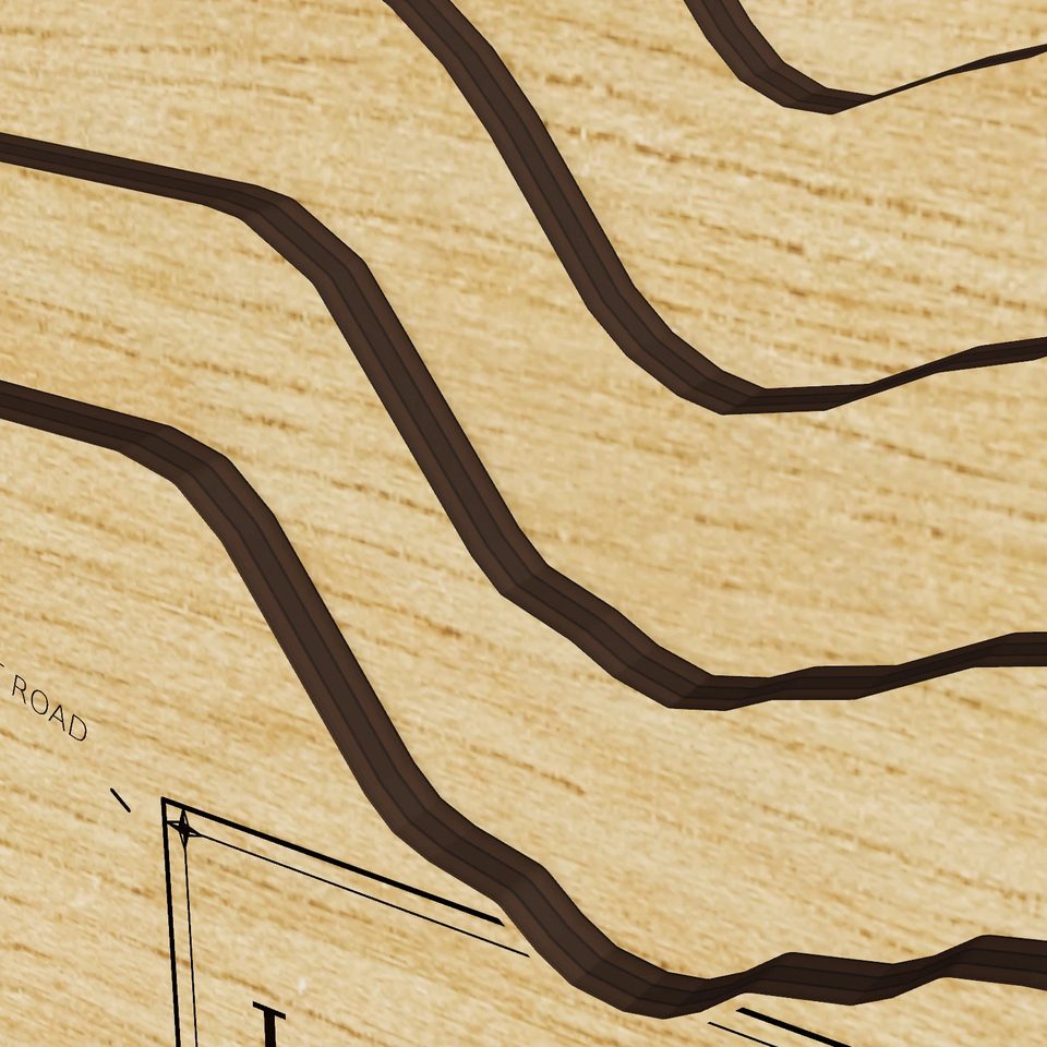 Lower Naukeag Lake 3D wood map, detail view