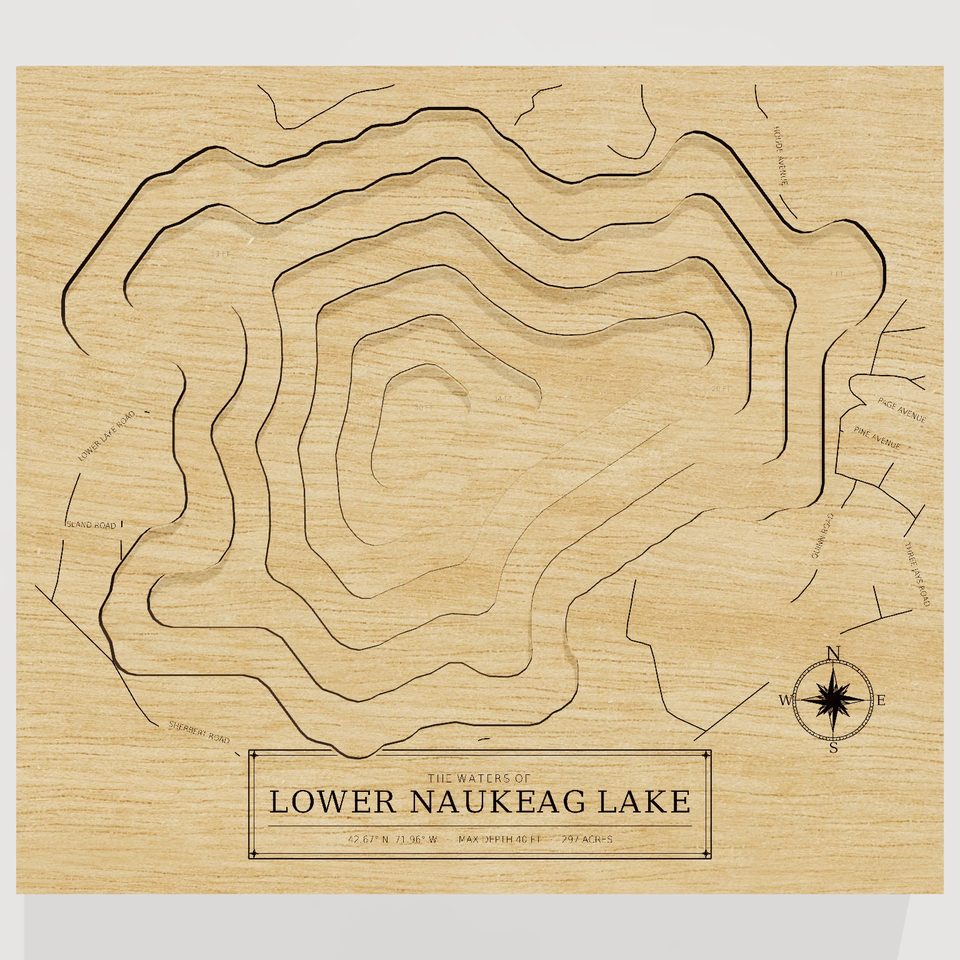 Lower Naukeag Lake 3D wood map, front view