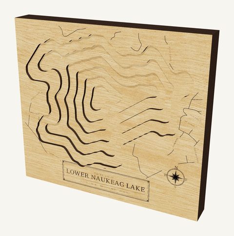 Lower Naukeag Lake wood map
