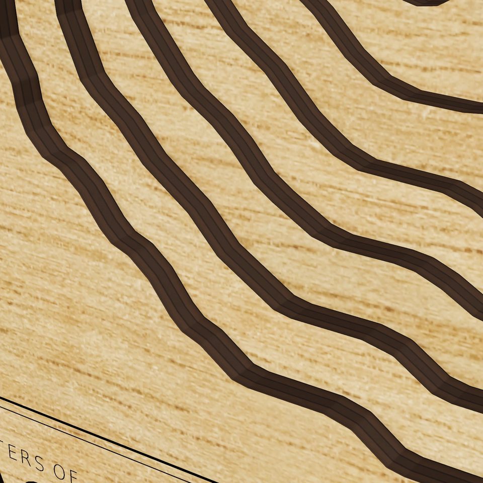 Makepeace Lake 3D wood map, detail view