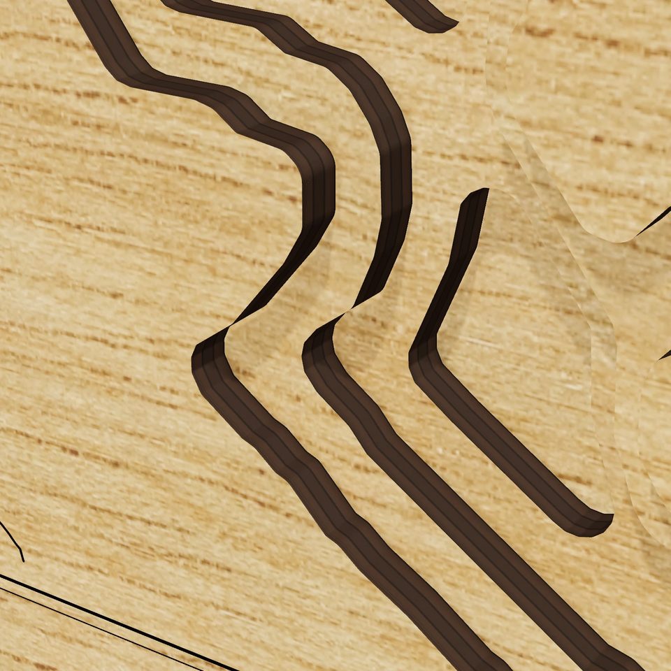 Marsh Creek Lake 3D wood map, detail view