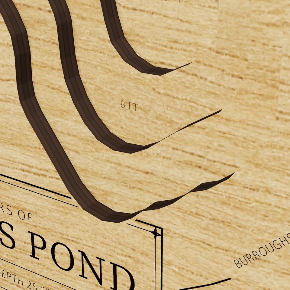 Martin's Pond 3D wood map, detail view