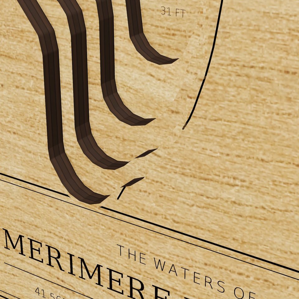 Merimere Reservoir 3D wood map, detail view