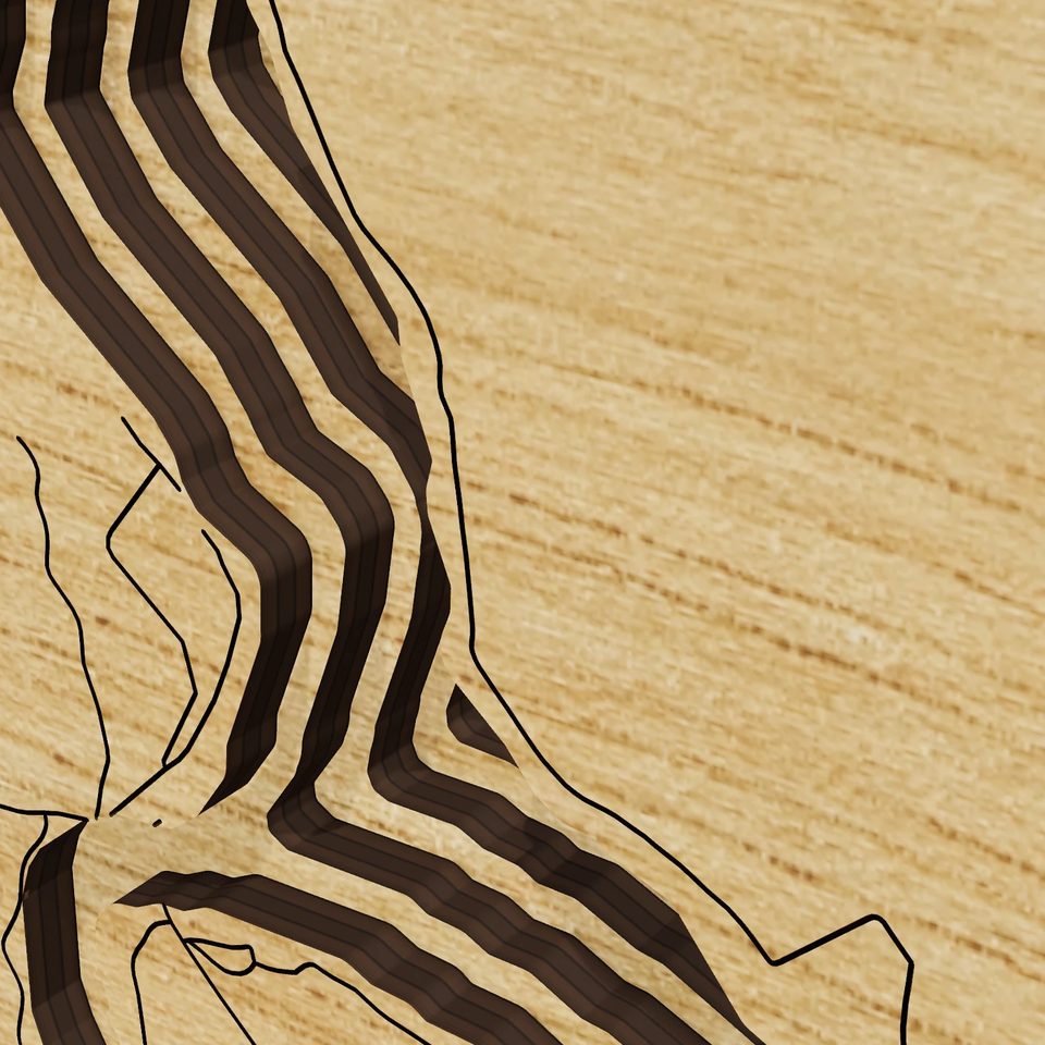 Milton Pond 3D wood map, detail view