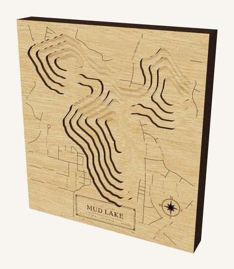 Mud Lake wood map