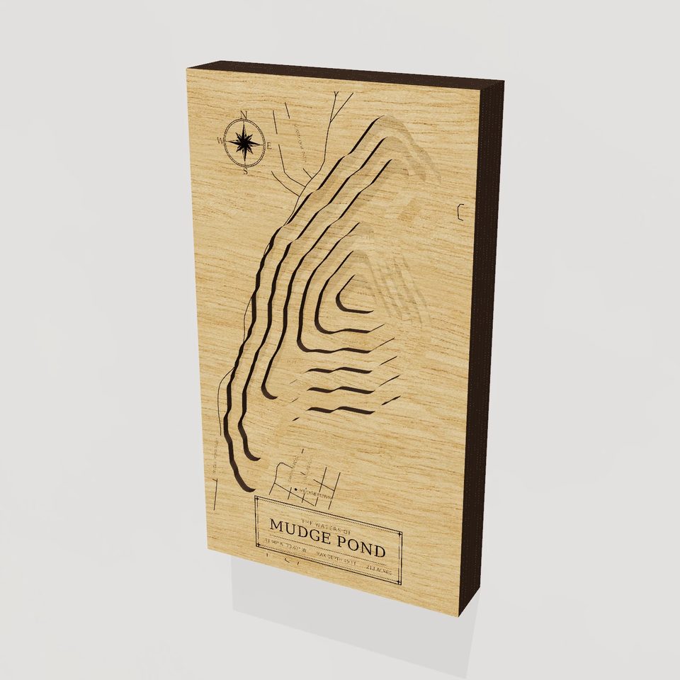 Mudge Pond 3D wood map, hero view
