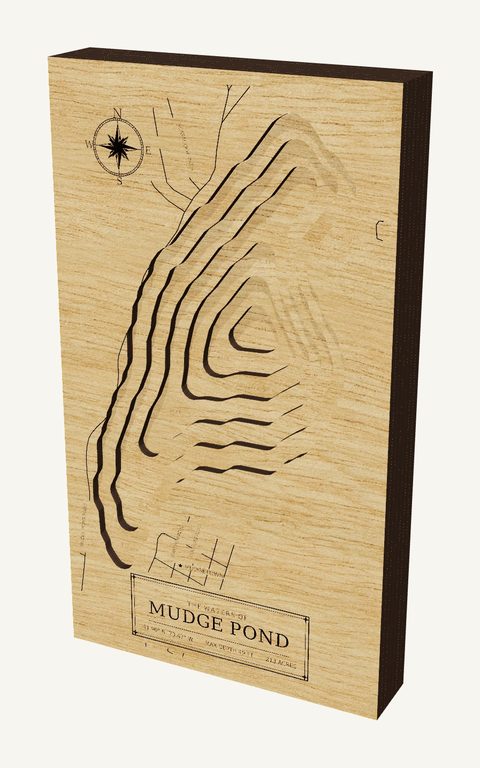Mudge Pond wood map