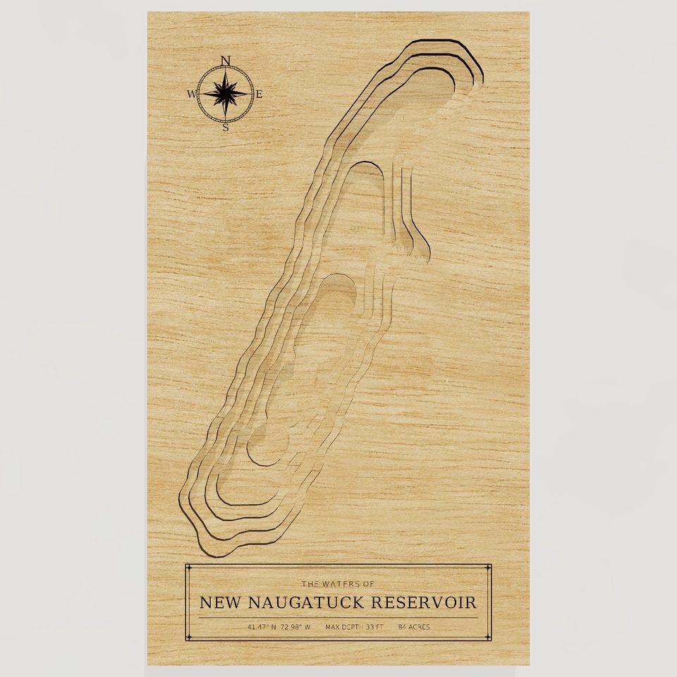 New Naugatuck Reservoir 3D wood map, front view