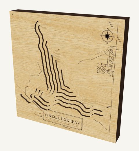 O'Neill Forebay wood map