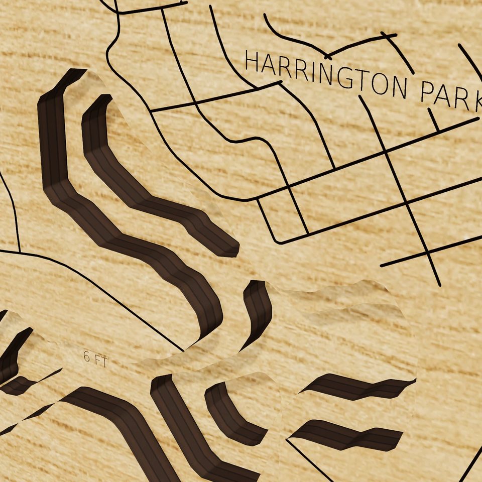 Oradell Reservoir 3D wood map, detail view