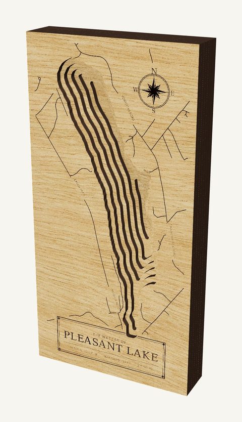Pleasant Lake wood map
