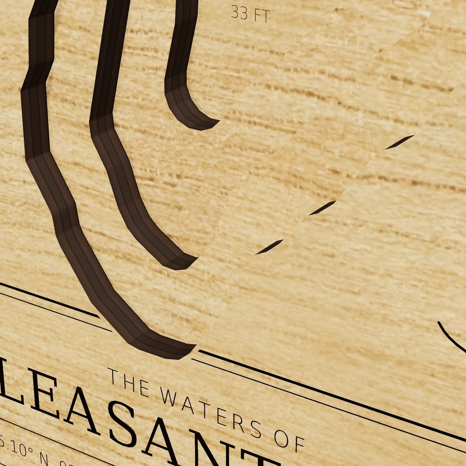 Pleasant Lake 3D wood map, detail view