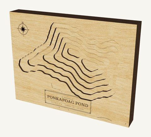 Ponkapoag Pond wood map