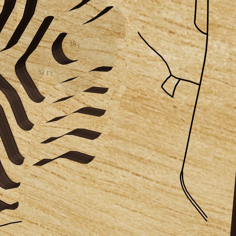 Potter Pond 3D wood map, detail view