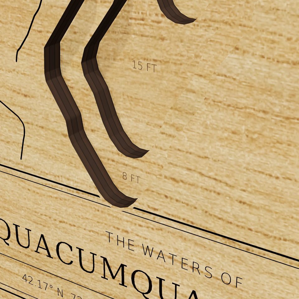 Quacumquasit Pond 3D wood map, detail view
