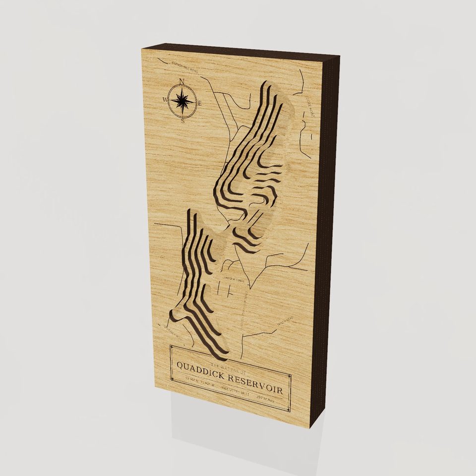 Quaddick Reservoir 3D wood map, hero view