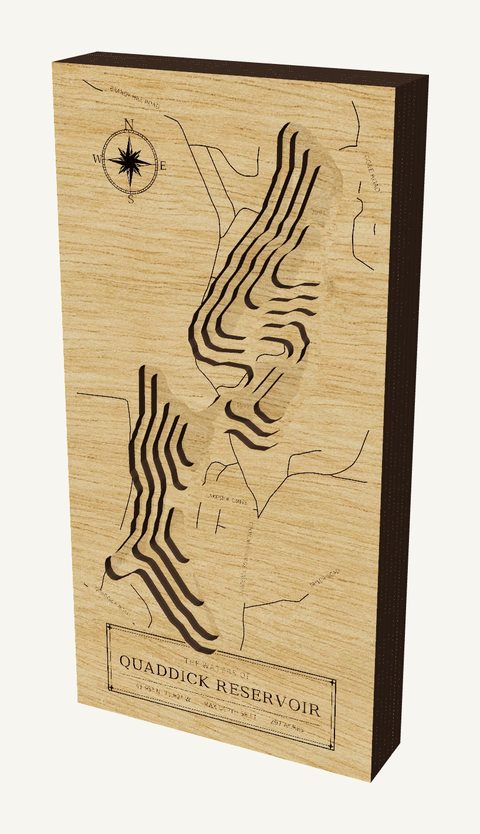 Quaddick Reservoir wood map