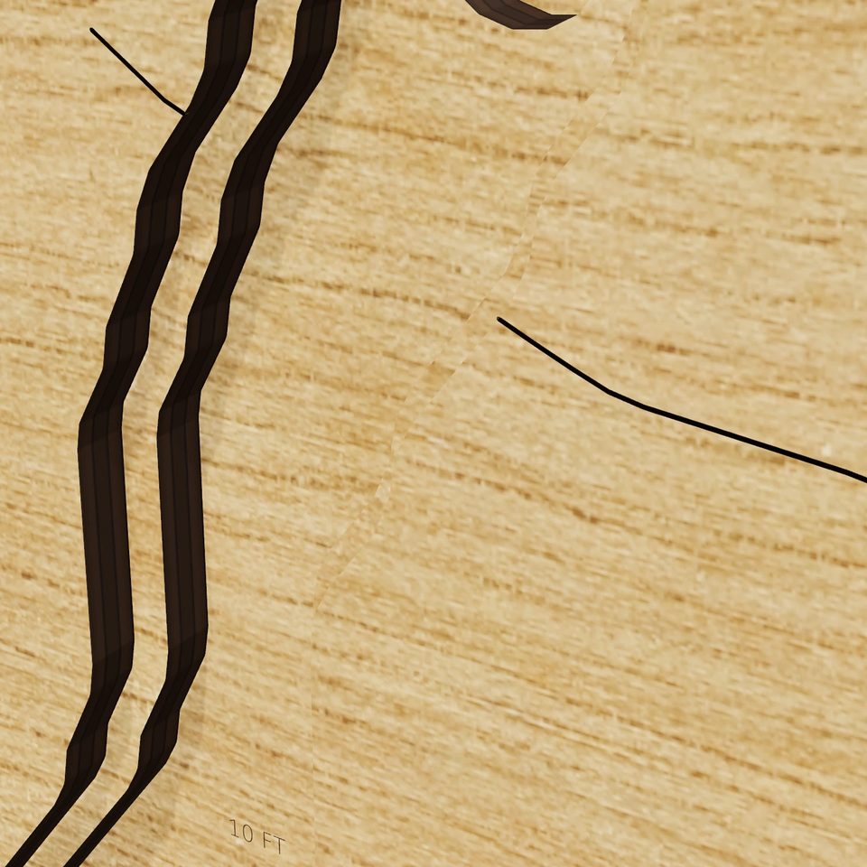 Rockwood Lake 3D wood map, detail view