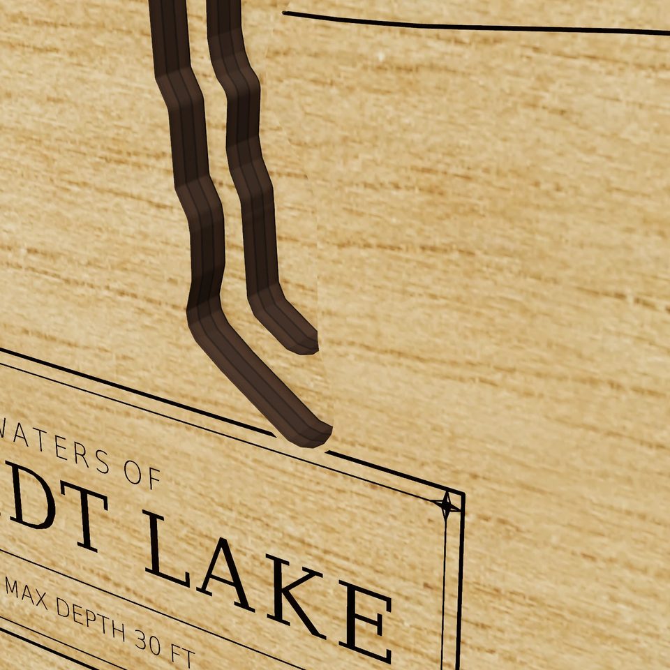 Schmidt Lake 3D wood map, detail view