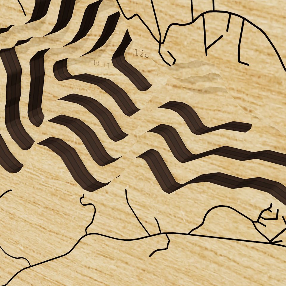 Schroon Lake 3D wood map, detail view