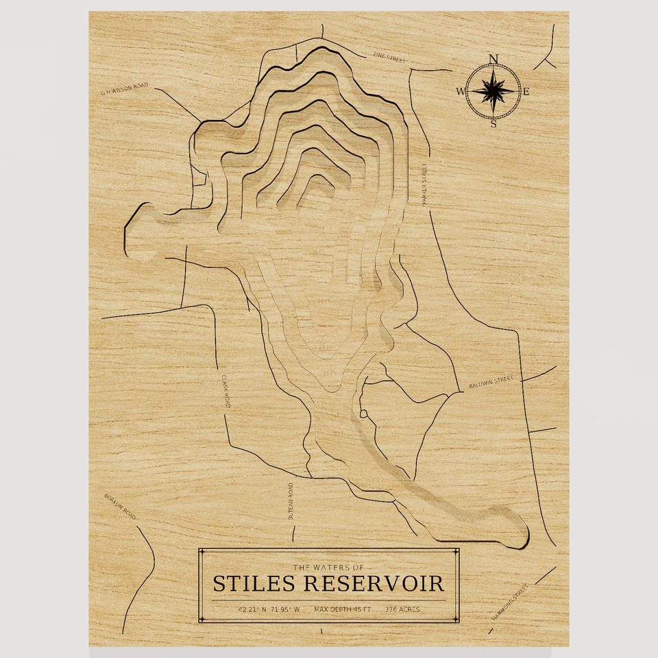 Stiles Reservoir 3D wood map, front view