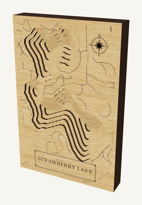 Strawberry Lake wood map