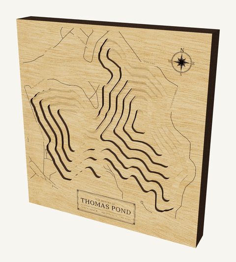 Thomas Pond wood map