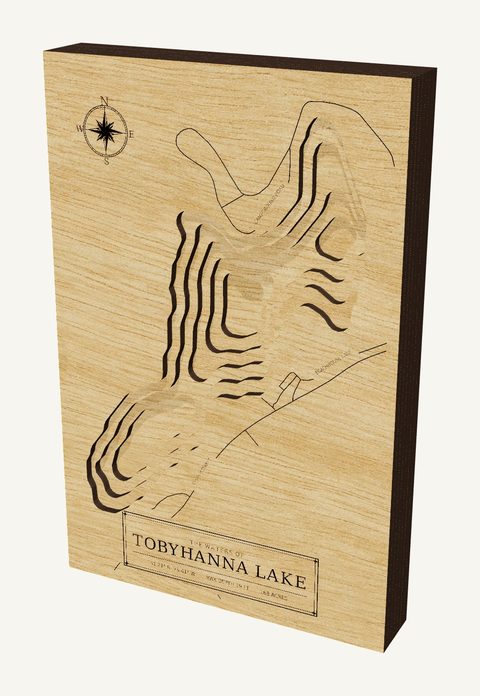 Tobyhanna Lake wood map